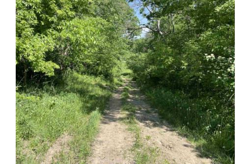 65.33 Acres Brockman Road, Elroy, WI 53929