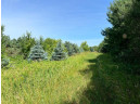 12 AC Ringhand Road, Monticello, WI 53570