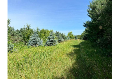 12 AC Ringhand Road, Monticello, WI 53570