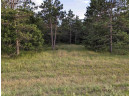 10.8 ACRES Alpine Drive, Nekoosa, WI 54457