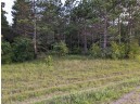 10.8 ACRES Alpine Drive, Nekoosa, WI 54457