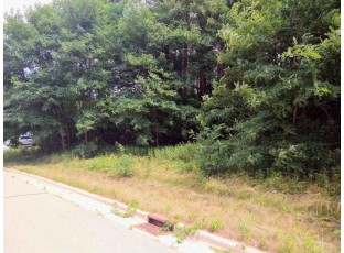 LOT 23 Wooded Glen Court Wisconsin Dells, WI 53965