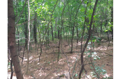 LOT 23 Wooded Glen Court, Wisconsin Dells, WI 53965