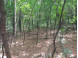 LOT 23 Wooded Glen Court Wisconsin Dells, WI 53965