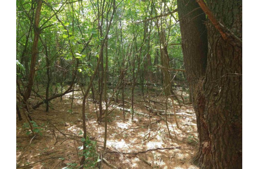 LOT 23 Wooded Glen Court, Wisconsin Dells, WI 53965