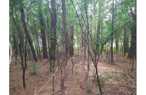 LOT 23 Wooded Glen Court, Wisconsin Dells, WI 53965