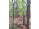 LOT 23 Wooded Glen Court, Wisconsin Dells, WI 53965