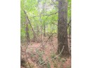 LOT 23 Wooded Glen Court, Wisconsin Dells, WI 53965