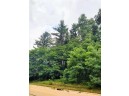 LOT 23 Wooded Glen Court, Wisconsin Dells, WI 53965