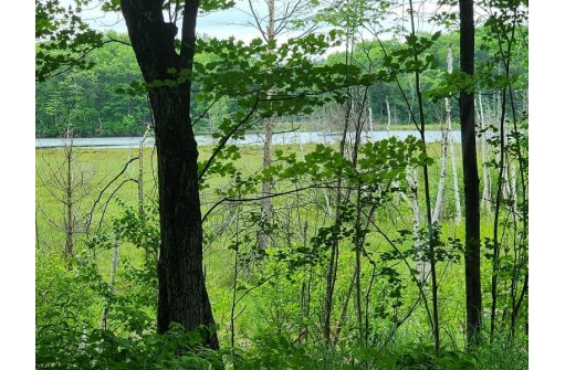 LOT 11 Deer Trail, Lac Du Flambeau, WI 54538