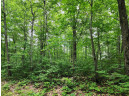 LOT 11 Deer Trail, Lac Du Flambeau, WI 54538