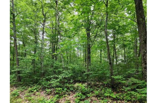 LOT 11 Deer Trail, Lac Du Flambeau, WI 54538