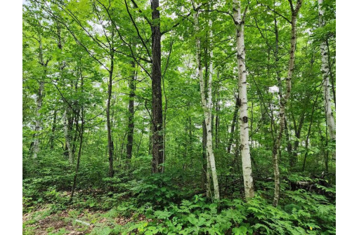 LOT 11 Deer Trail, Lac Du Flambeau, WI 54538