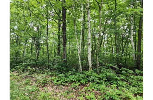 LOT 11 Deer Trail, Lac Du Flambeau, WI 54538