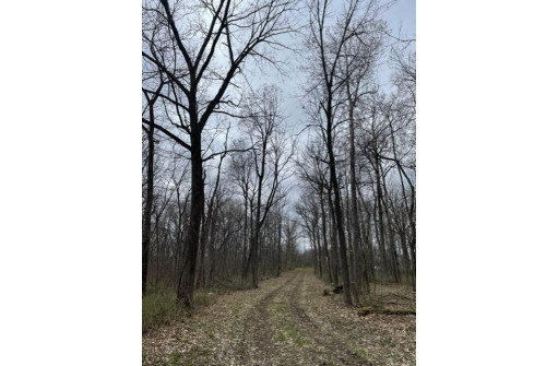 68.70 ACRES Kahl Road, Black Earth, WI 53515