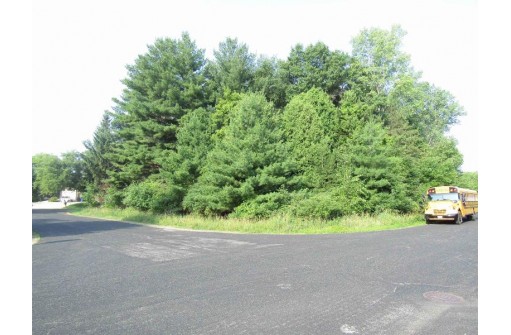 LOT 8 Diamond Drive, DeForest, WI 53532