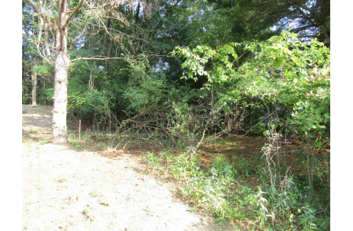 LOT 8 Diamond Drive, DeForest, WI 53532