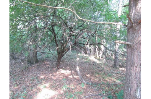 LOT 8 Diamond Drive, DeForest, WI 53532