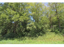 6.6AC Butternut Road, Spring Green, WI 53588