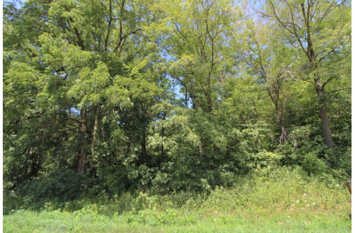 6.6AC Butternut Road, Spring Green, WI 53588