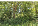 6.6AC Butternut Road, Spring Green, WI 53588