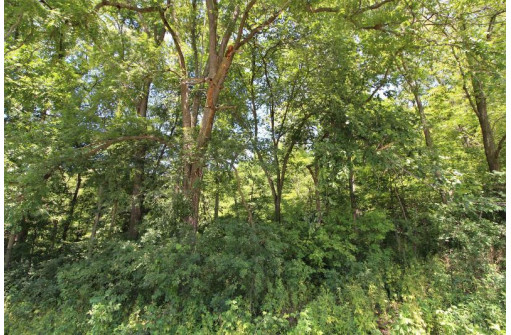 6.6AC Butternut Road, Spring Green, WI 53588