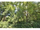 6.6AC Butternut Road, Spring Green, WI 53588