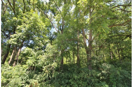 6.6AC Butternut Road, Spring Green, WI 53588