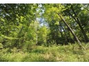 6.6AC Butternut Road, Spring Green, WI 53588