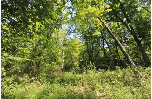 6.6AC Butternut Road, Spring Green, WI 53588