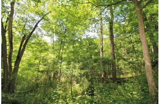 6.6AC Butternut Road, Spring Green, WI 53588