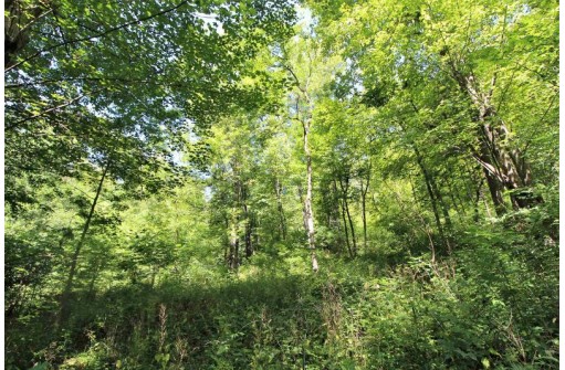 6.6AC Butternut Road, Spring Green, WI 53588