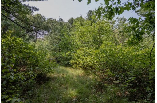 LOT 6 Derus Lane, Necedah, WI 54646