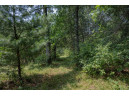 LOT 6 Derus Lane, Necedah, WI 54646