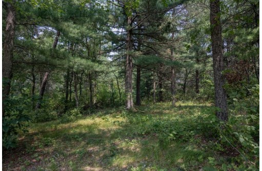 LOT 6 Derus Lane, Necedah, WI 54646