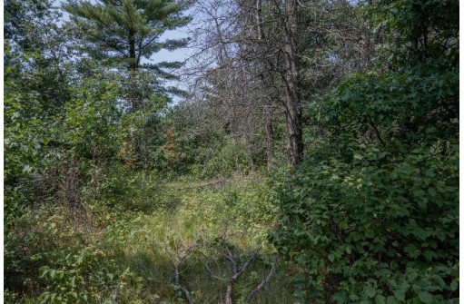 LOT 6 Derus Lane, Necedah, WI 54646