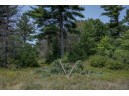 LOT 6 Derus Lane, Necedah, WI 54646