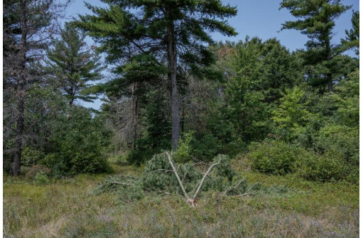 LOT 6 Derus Lane, Necedah, WI 54646