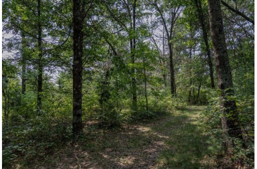 LOT 6 Derus Lane, Necedah, WI 54646