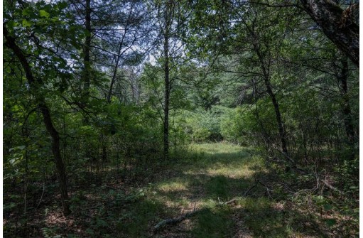 LOT 6 Derus Lane, Necedah, WI 54646