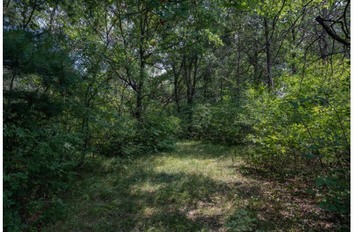 LOT 6 Derus Lane, Necedah, WI 54646