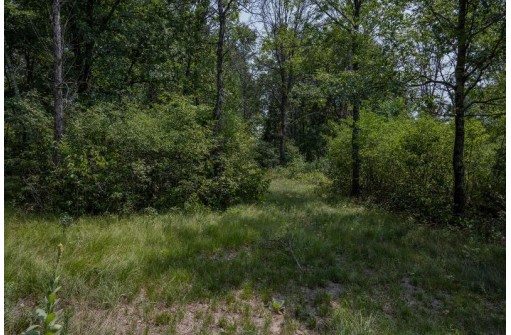 LOT 6 Derus Lane, Necedah, WI 54646