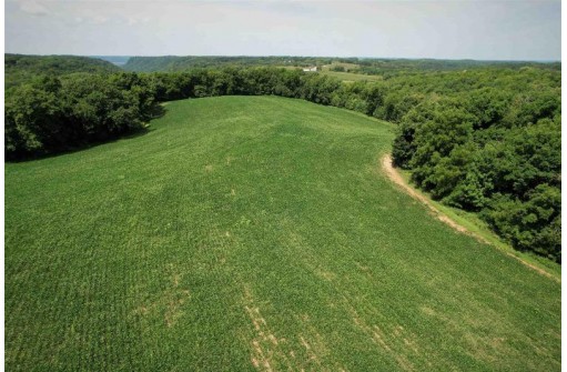 87.42 ACRES Highway 82, De Soto, WI 54624