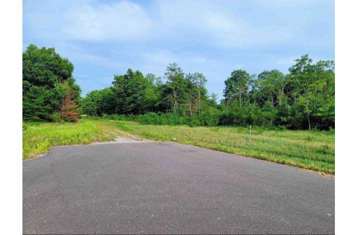 LOT 6 Holzem Circle, Wisconsin Dells, WI 53965