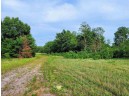 LOT 6 Holzem Circle, Wisconsin Dells, WI 53965