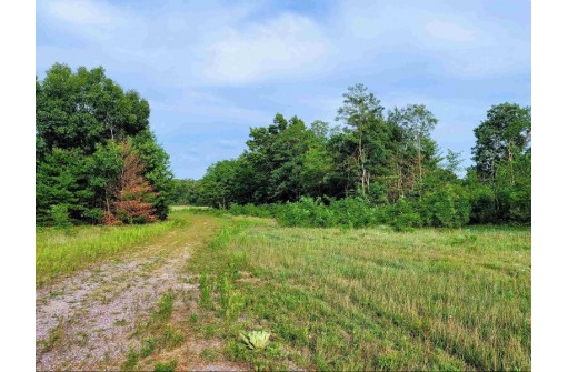 LOT 6 Holzem Circle, Wisconsin Dells, WI 53965