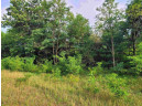 LOT 6 Holzem Circle, Wisconsin Dells, WI 53965