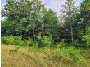 LOT 7 Holzem Circle, Wisconsin Dells, WI 53965