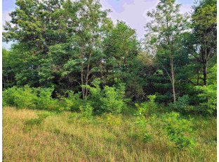 LOT 7 Holzem Circle Wisconsin Dells, WI 53965