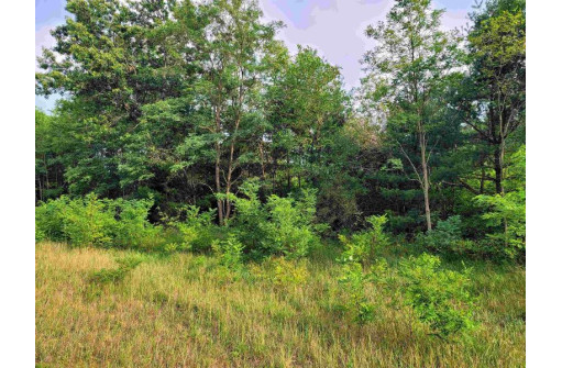 LOT 7 Holzem Circle, Wisconsin Dells, WI 53965